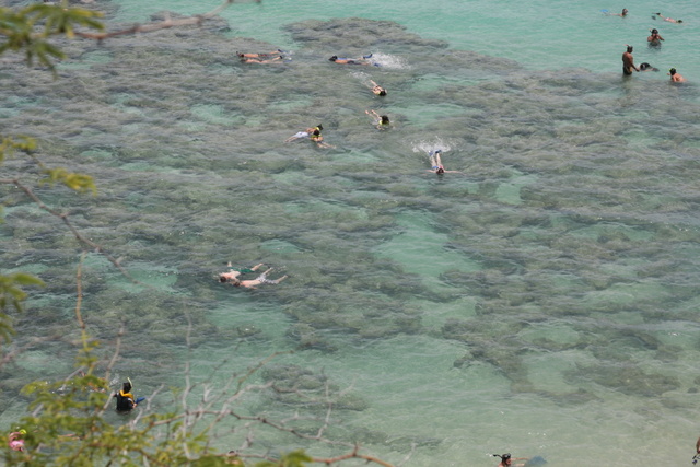diaporamas/2008_07_26_HanaumaBay/img_7458.jpg