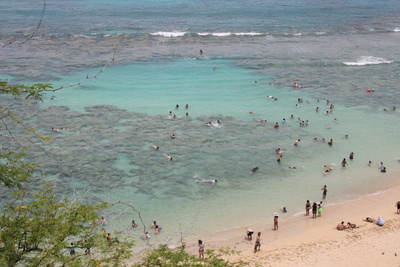 diaporamas/2008_07_26_HanaumaBay/img_7462.jpg