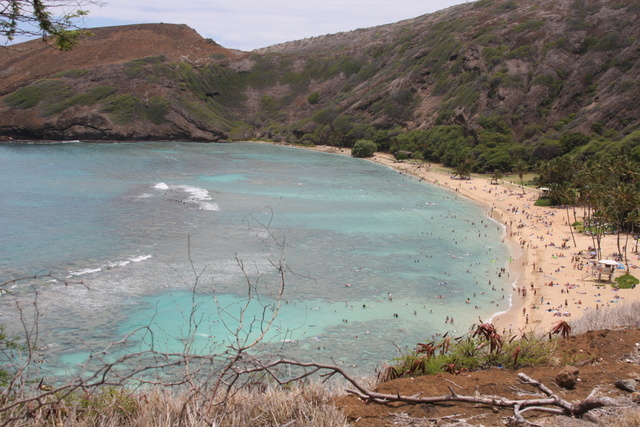 diaporamas/2008_07_26_HanaumaBay/img_7464.jpg