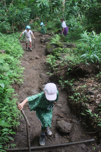 diaporamas/2008_08_03_ManoaFalls/img_7760.jpg