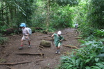 2008_08_03_ManoaFalls/img_7763.jpg