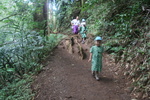 2008_08_03_ManoaFalls/img_7769.jpg