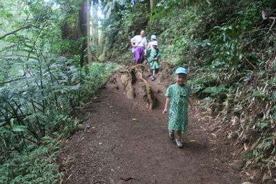 diaporamas/2008_08_03_ManoaFalls/img_7769.jpg