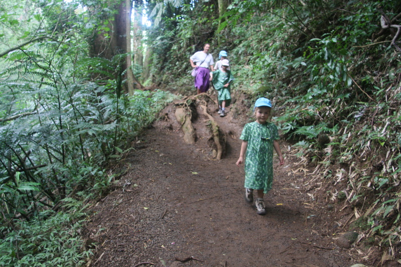 diaporamas/2008_08_03_ManoaFalls/img_7769.jpg