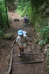 2008_08_03_ManoaFalls/img_7778.jpg