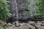 2008_08_03_ManoaFalls/img_7792.jpg