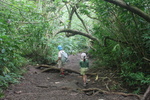 2008_08_03_ManoaFalls/img_7873.jpg