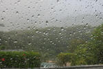 2008_08_03_ManoaFalls/img_7940.jpg