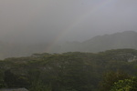 2008_08_03_ManoaFalls/img_7943.jpg