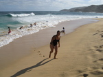 2008_08_17_SandyBeach/img_0500.jpg