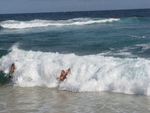 2008_08_17_SandyBeach/img_0517.jpg