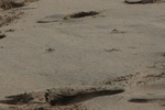 2008_08_17_SandyBeach/img_8642S.jpg