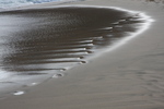 2008_08_17_SandyBeach/img_8649.jpg