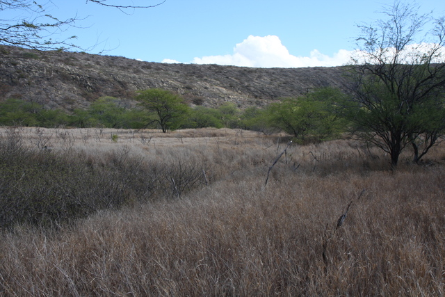 diaporamas/2008_08_24_DiamondHead/img_8696.jpg