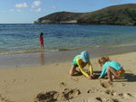 2008_08_HanaumaBay_Underwater/pict0002.jpg