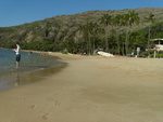 2008_08_HanaumaBay_Underwater/pict0005.jpg