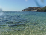 2008_08_HanaumaBay_Underwater/pict0007b.jpg