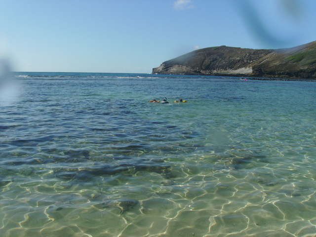 2008_08_HanaumaBay_Underwater/pict0007b.jpg