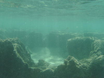 diaporamas/2008_08_HanaumaBay_Underwater/pict0030b.jpg