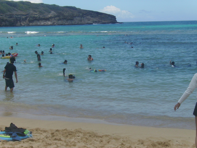 2008_08_HanaumaBay_Underwater/pict0139.jpg