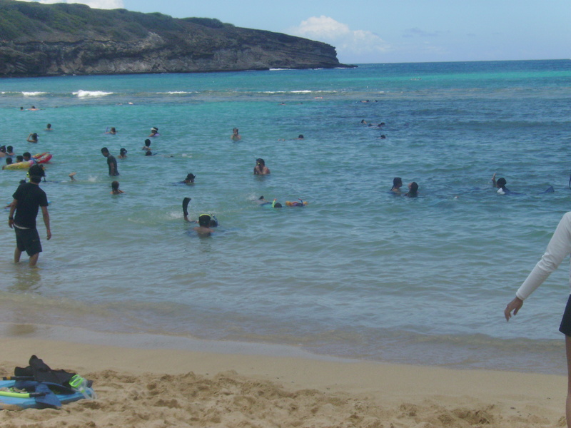 diaporamas/2008_08_HanaumaBay_Underwater/pict0139.jpg