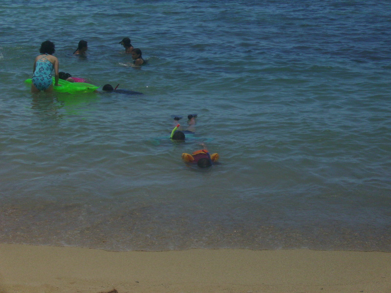 diaporamas/2008_08_HanaumaBay_Underwater/pict0142.jpg