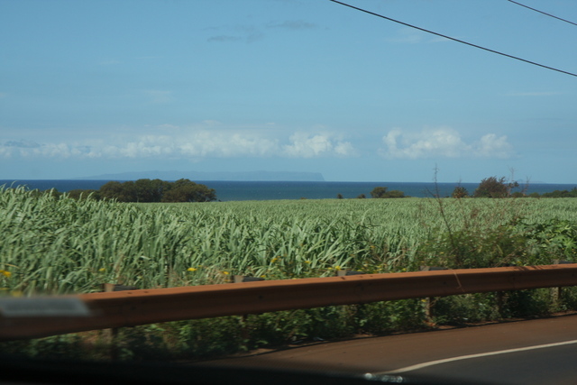 diaporamas/2008_10_10_Kauai_Waimea/img_0784.jpg
