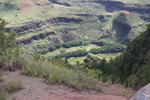 2008_10_10_Kauai_Waimea/img_0828.jpg