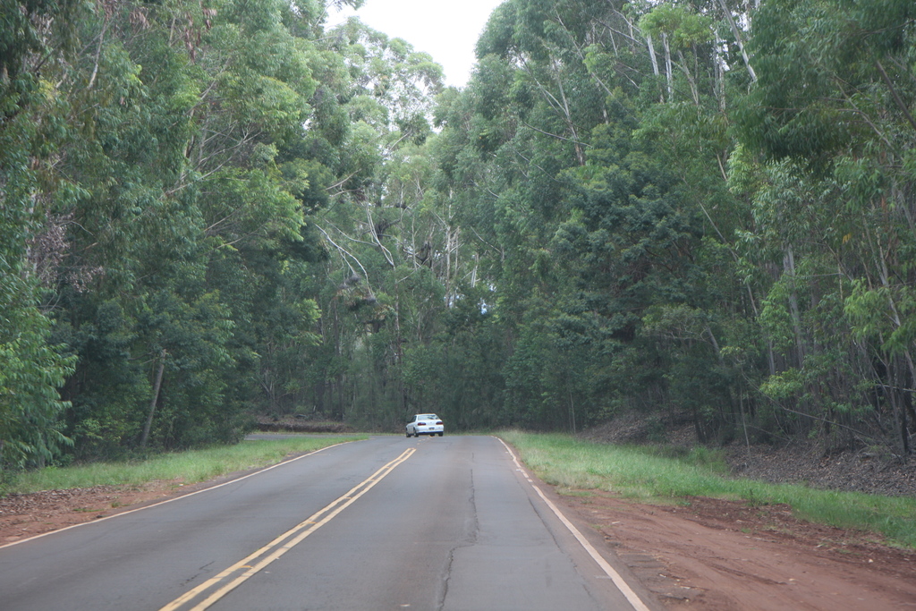 2008_10_10_Kauai_Waimea/img_0843.jpg