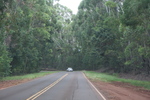 2008_10_10_Kauai_Waimea/img_0843.jpg