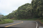 2008_10_10_Kauai_Waimea/img_0846.jpg