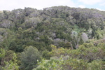 2008_10_10_Kauai_Waimea/img_0914.jpg