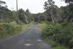 2008_10_10_Kauai_Waimea/img_0921.jpg
