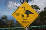 2008_10_10_Kauai_Waimea/img_0925.jpg