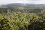 2008_10_10_Kauai_Waimea/img_0941.jpg
