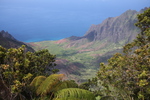 2008_10_10_Kauai_Waimea/img_0954.jpg