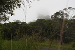 2008_10_10_Kauai_Waimea/img_0994.jpg