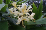 2008_10_10_Kauai_Waimea/img_1029.jpg