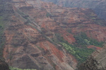 2008_10_10_Kauai_Waimea/img_1047.jpg