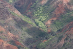 2008_10_10_Kauai_Waimea_BestOf/img_0885.jpg