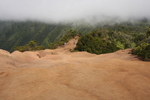 2008_10_10_Kauai_Waimea_BestOf/img_0938.jpg
