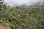 2008_10_10_Kauai_Waimea_BestOf/img_0958.jpg