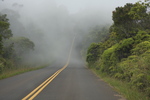 2008_10_10_Kauai_Waimea_BestOf/img_0982.jpg
