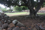 2008_10_Wailua_Falls_N_River/img_1483.jpg