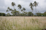 2008_10_Wailua_Falls_N_River/img_1492.jpg