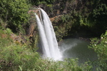 2008_10_Wailua_Falls_N_River/img_9849.jpg