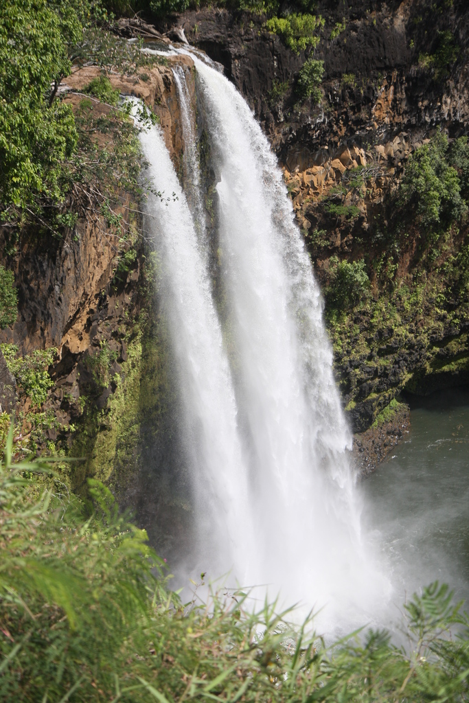 diaporamas/2008_10_Wailua_Falls_N_River/img_9855.jpg