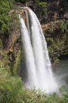 2008_10_Wailua_Falls_N_River/img_9855.jpg