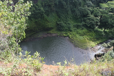 diaporamas/2008_10_Wailua_Falls_N_River/img_9884.jpg