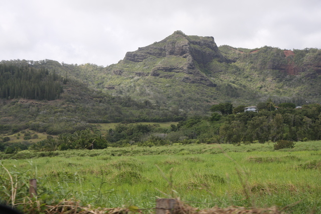 2008_10_Wailua_Falls_N_River/img_9910.jpg